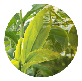 stevia and monk fruit extracts glg life tech